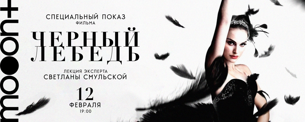 Чёрный лебедь в Минске 12 февраля 2026 