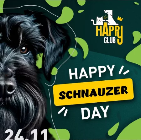 Happy schnauzer day мероприятие в Минске 24 ноября – анонс мероприятия на BezKassira.by