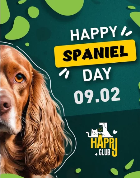 Happy Spaniiel Day мероприятие в Минске 9 февраля