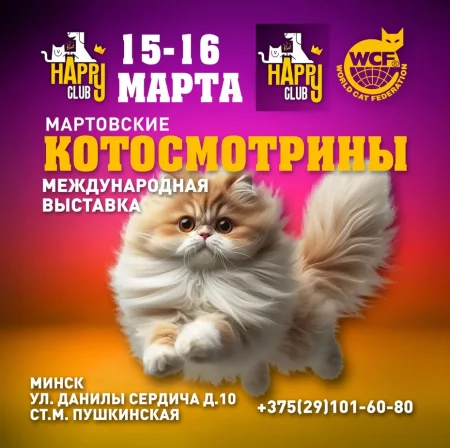 Мартовские котосмотрины 2025 в Минске 16 марта
