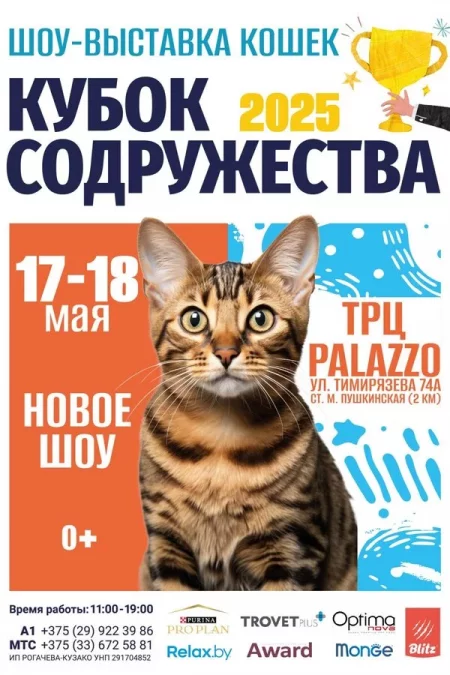 Кубок Содружества — 2025 в Минске 17 мая