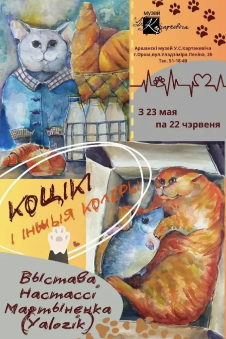 Выстава "Коцікі і іншыя колеры" в Орше 14 июня