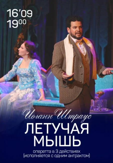 Летучая мышь в Минске 16 сентября