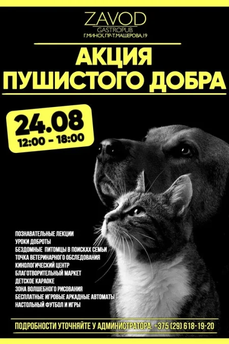 Акция пушистого добра в Минске 24 августа