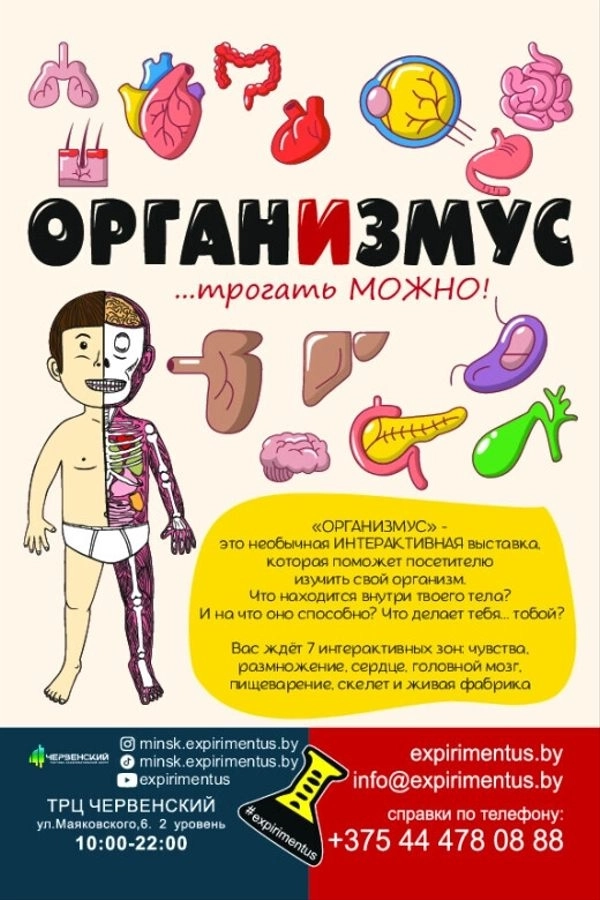 Интерактивная выставка о теле человека «Организмус» мероприятие
