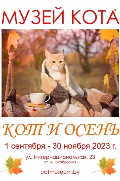 Выставка «Кот и Осень»  in  Minsk 3 september 2023 of the year