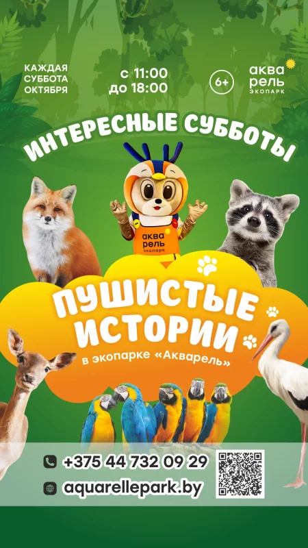 Интересные субботы «Пушистые истории» мероприятие в Минске 12 октября – анонс мероприятия на BezKassira.by