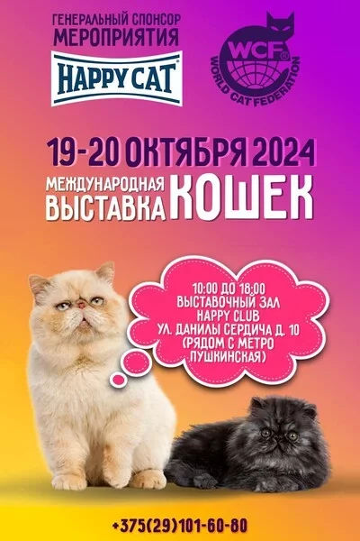 Международная выставка кошек «Эта рыжая кошка — осень»   in Minsk 19 october – announcement the event on BezKassira.by