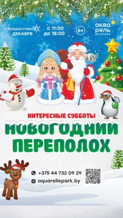 Интересные субботы «Новогодний переполох»  в  Минске 7 декабря 2024 года