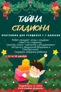 Развлекательная программа «Тайна стадиона»  в  Минске 11 декабря 2024 года