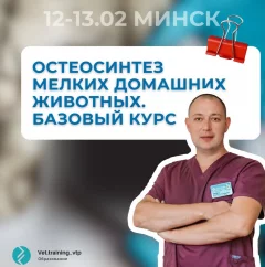 Остеосинтез мелких домашних животных. Базовый курс  в  Минске 12 февраля 2025 года