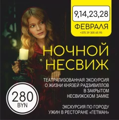 Ночной Несвиж  в  Минске 17 февраля 2025 года