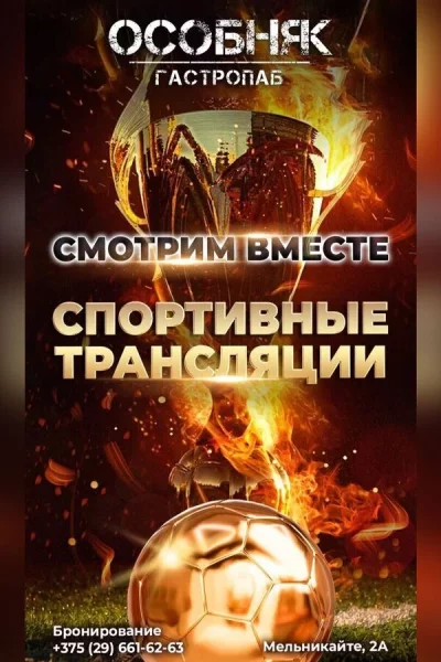 Просмотр спортивных трансляций в гастропабе-караоке «Особняк»  в  Минске 27 апреля 2025 года