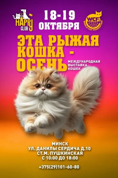 Международная выставка кошек «Эта рыжая кошка — осень»  в  Минске 18 октября 2025 года
