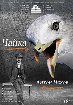 Чайка  в  Могилеве 14 января 2026 года