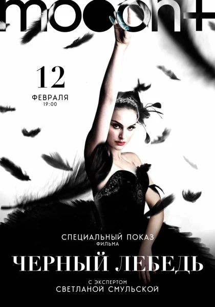 Чёрный лебедь в Минске 12 февраля 2026 года