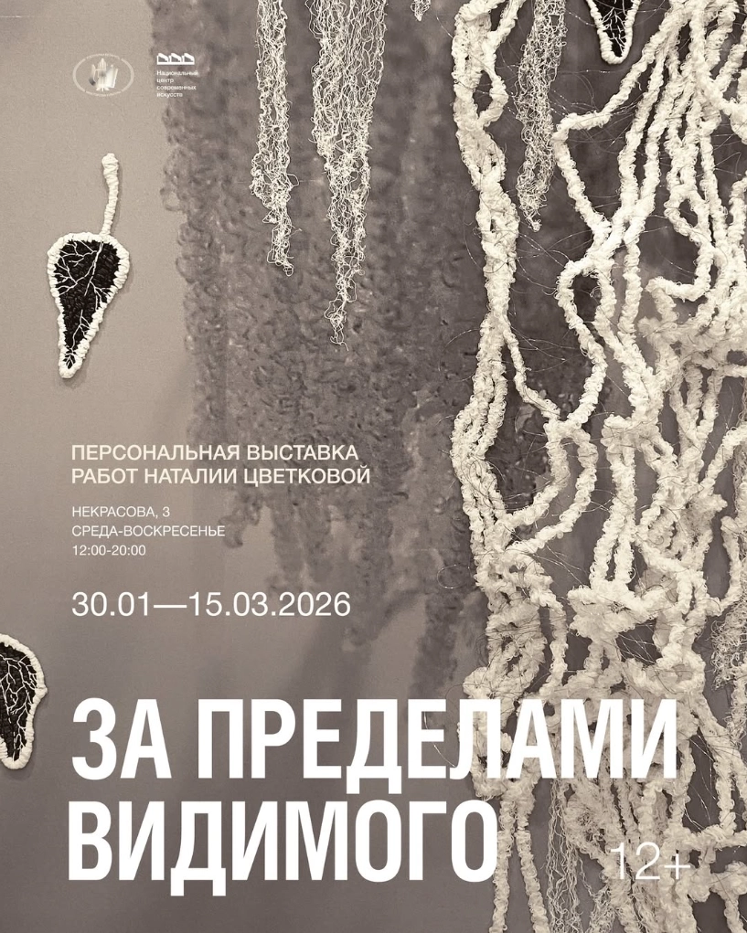 За приделами видимого в Минске 1 февраля 2026 года