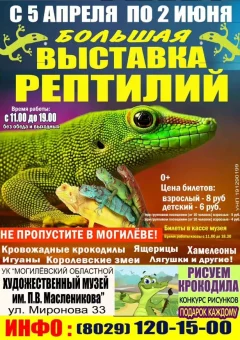 Выставка рептилий  в  Могилеве 9 апреля 2024 года