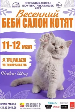 Весенний Беби Салон Котят — 2024 в Минске 11 мая 2024 года