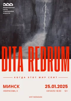 Эмбиент концерт «Когда этот мир спит» (проект Dita Redrum)  in  Minsk 25 january 2025 of the year