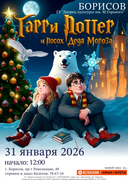 Интерактивный спектакль «Гарри Поттер и посох Деда Мороза» в Борисове 31 января 2026 года