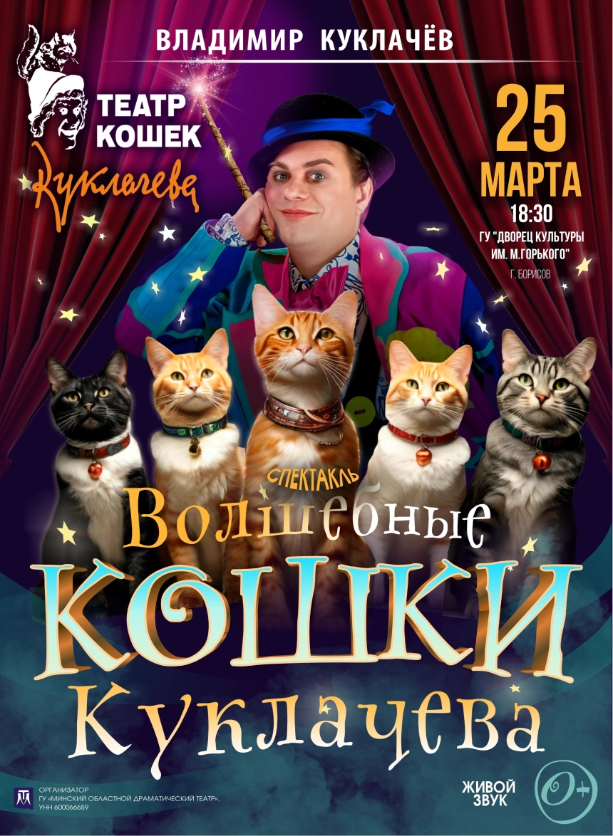 спектакль «Волшебные кошки» театра кошек Куклачева в Борисове 25 марта 2026 года