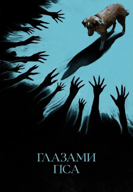 Глазами пса в Минске 16 октября