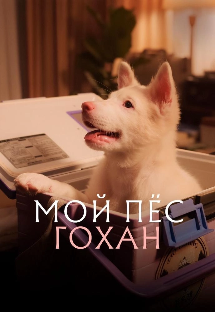 Мой пес Гохан | Билеты на  мероприятие в Минске