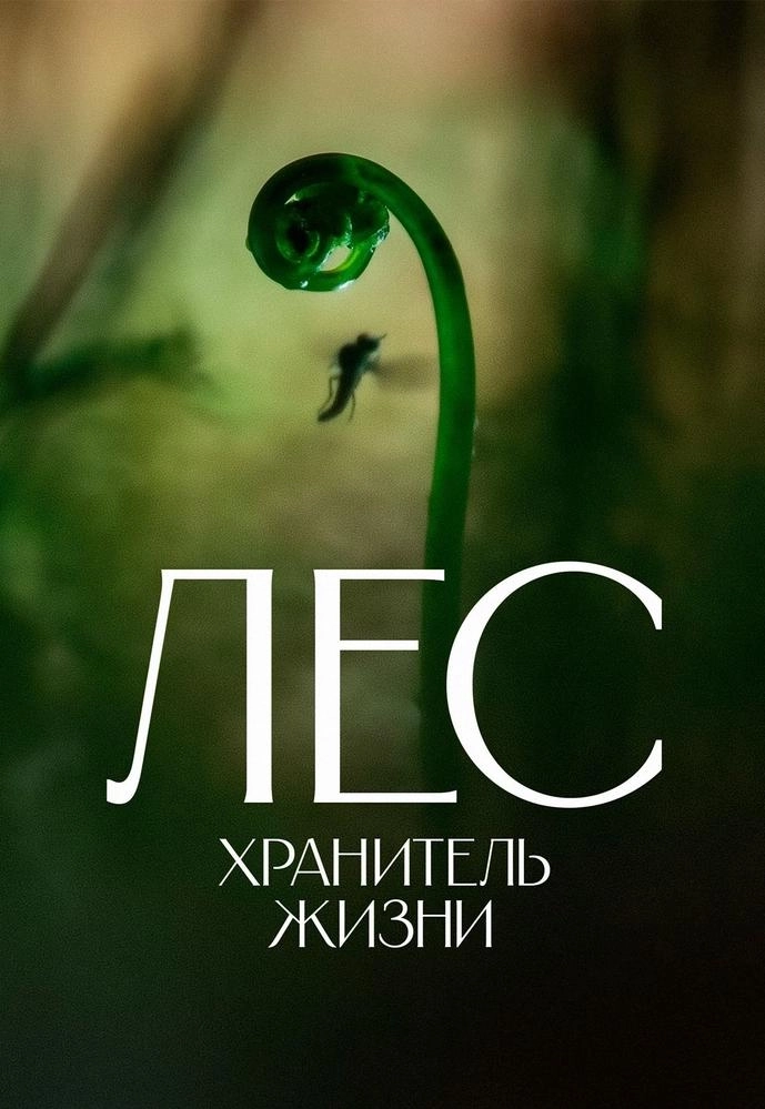 Лес. Хранитель жизни | Билеты на  мероприятие