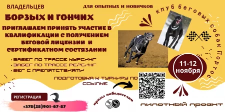 Фестиваль Шоу - собачьи бега (курсинг/рейсинг) в Минске 12 ноября – билеты и анонс на фестиваль