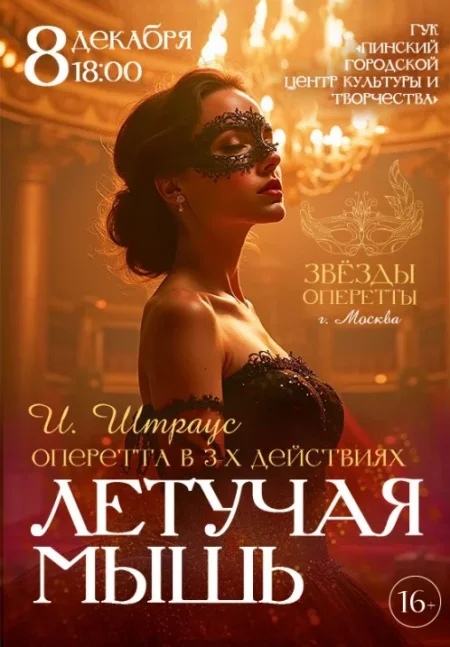 Летучая мышь в Пинске 8 декабря