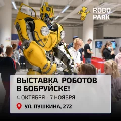 RoboPark | Бобруйск