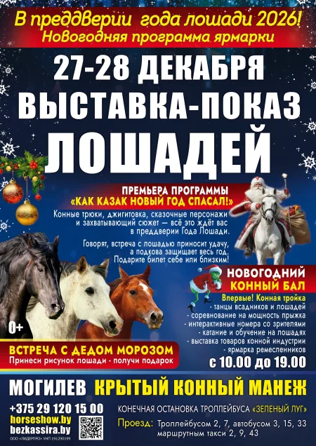 Выставка лошадей «Новогодний Калейдоскоп: Лошадиная Феерия» в Минске 27 декабря