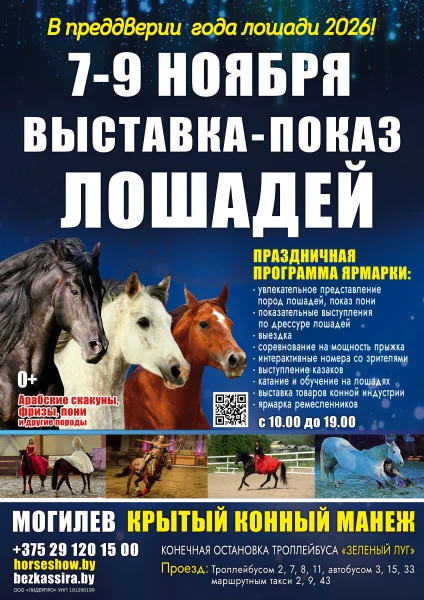 Выставка - показ породистых лошадей  в  Могилеве 7 ноября 2025 года