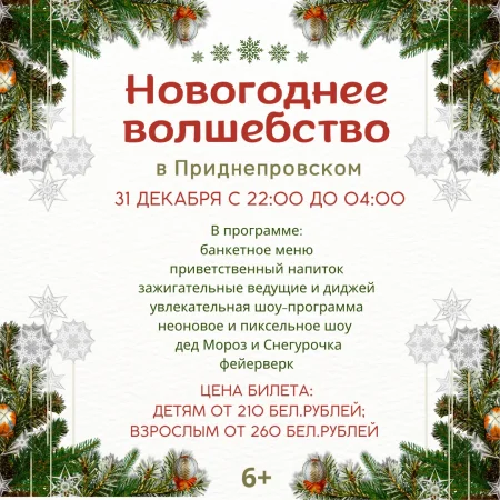 Новогоднее волшебство в Приднепровском - Корпус 2 в Приднепровском 31 декабря