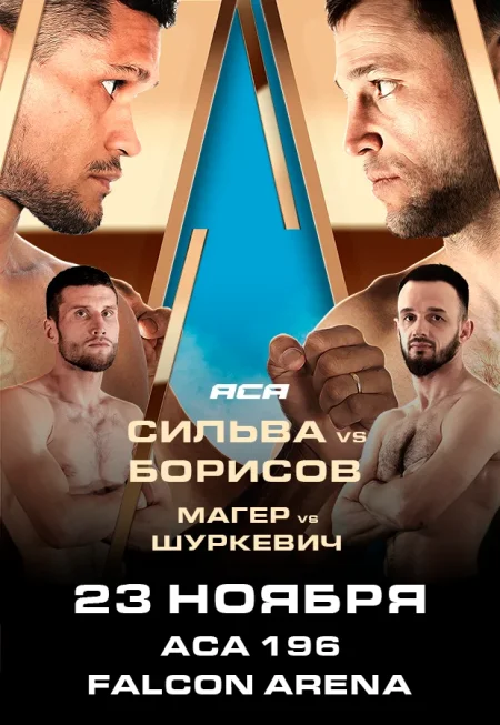 ACA 196 в Минске 23 ноября