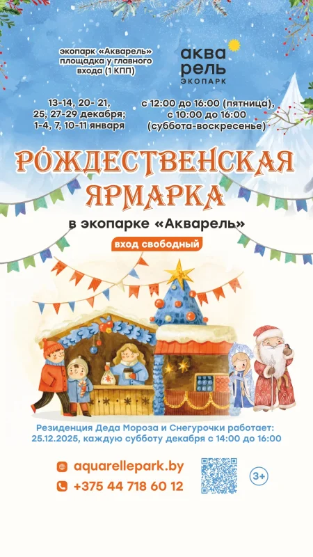 Рождественская ярмарка в Минске 1 января