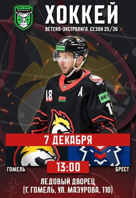 Гомель vs Брест в Гомеле 7 декабря
