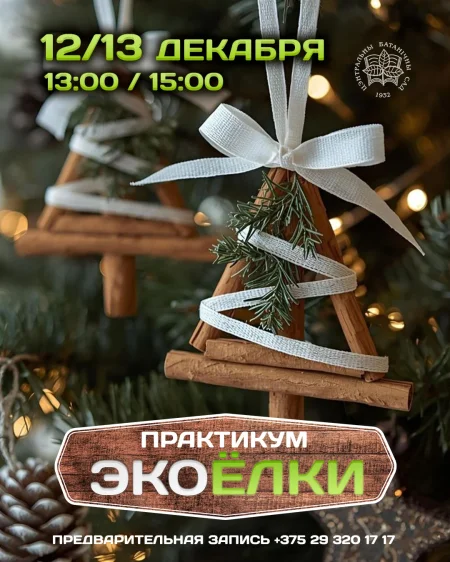 Экоёлки! Практикум в Минске 12 декабря