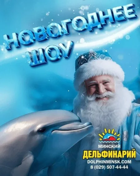Новогоднее шоу в дельфинарии в Минске 1 января