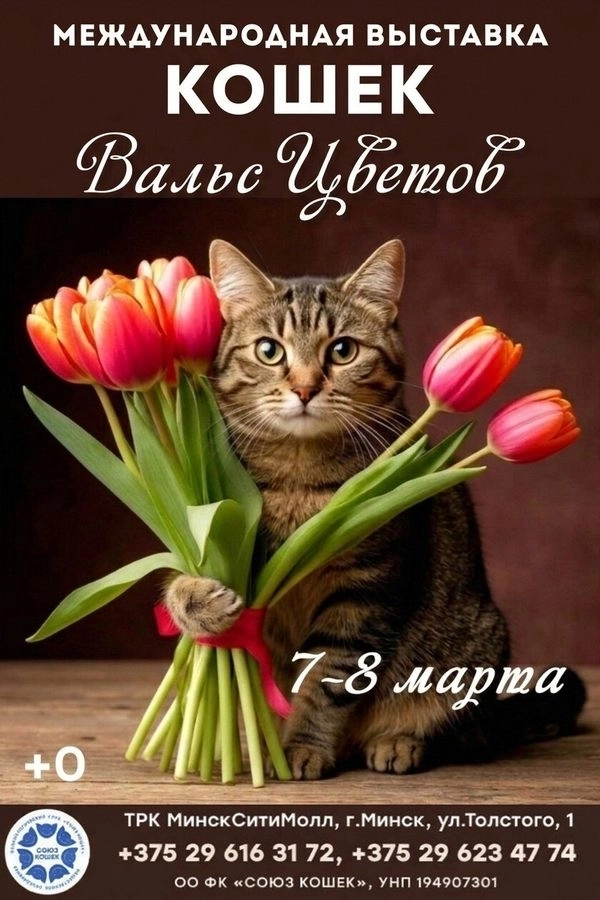 Международная выставка кошек «Вальс цветов» мероприятие в Минске