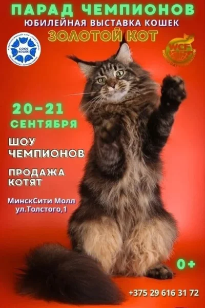 Международная выставка кошек «Золотой кот»  в  Минске 20 сентября 2025 года