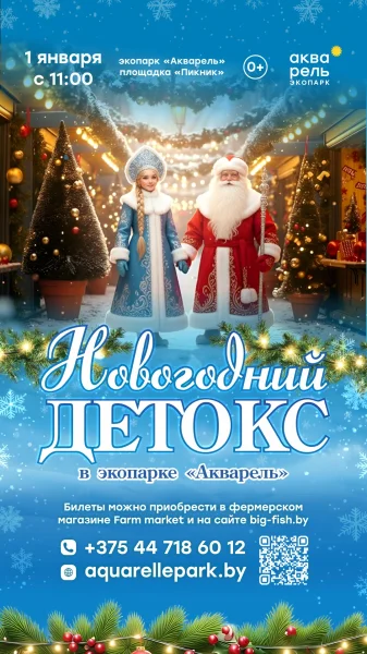 Новогодний детокс  в  Минске 1 января 2026 года