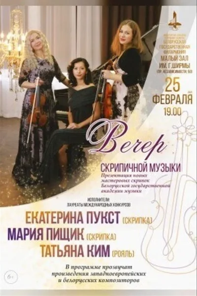 Концерт «Вечер скрипичной музыки»  в  Минске 20 ноября 2025 года