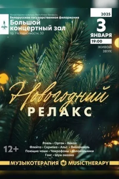 Концерт «Музыкотерапия. Новогодний релакс»  в  Минске 3 января 2026 года