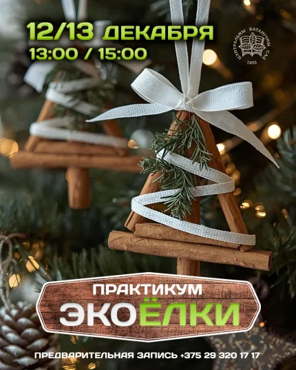 Экоёлки! Практикум в Минске 12 декабря 2025 года