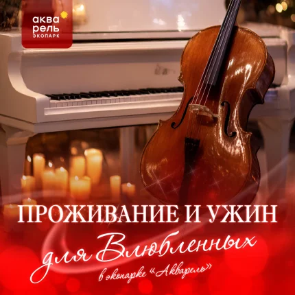 Проживание ужин  в  Минске 14 февраля 2026 года