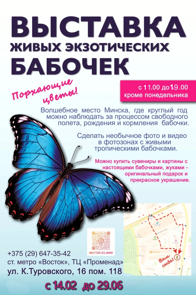 Выставка живых экзотических бабочек в Минске 1 марта 2026 года