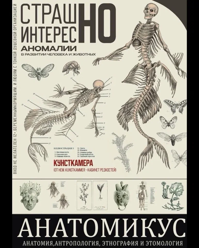 Анатомикус в Минске 12 февраля